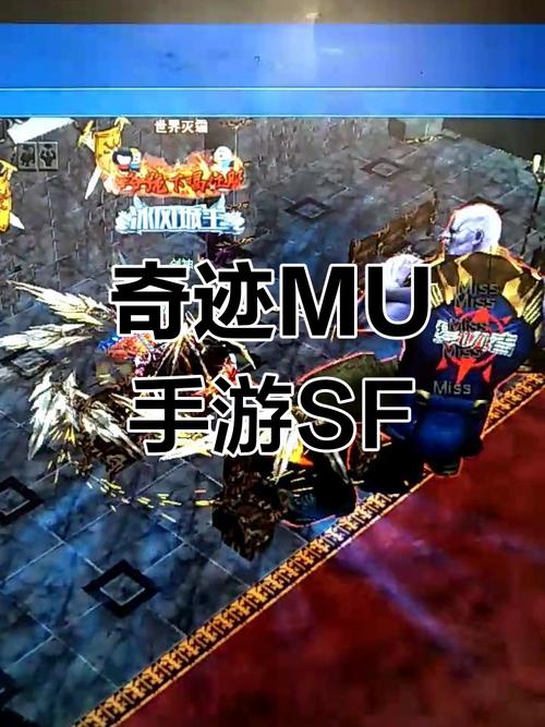 奇迹sf法师加点比例_奇迹sf网站_奇迹sf